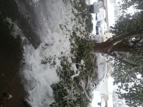 Winter Storm Atlas